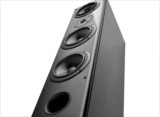 Tonsil Maestro III - cecha 1